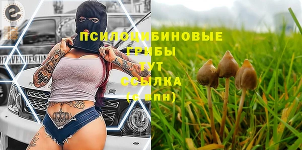 мдпв Касимов