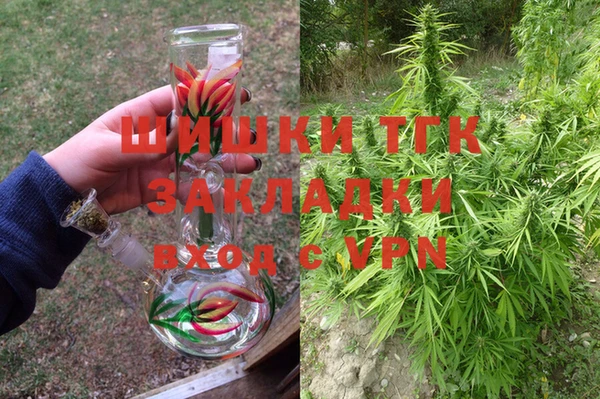 мдпв Касимов