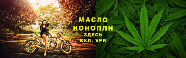соль ск Каменка