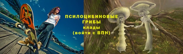 MDMA Каменногорск